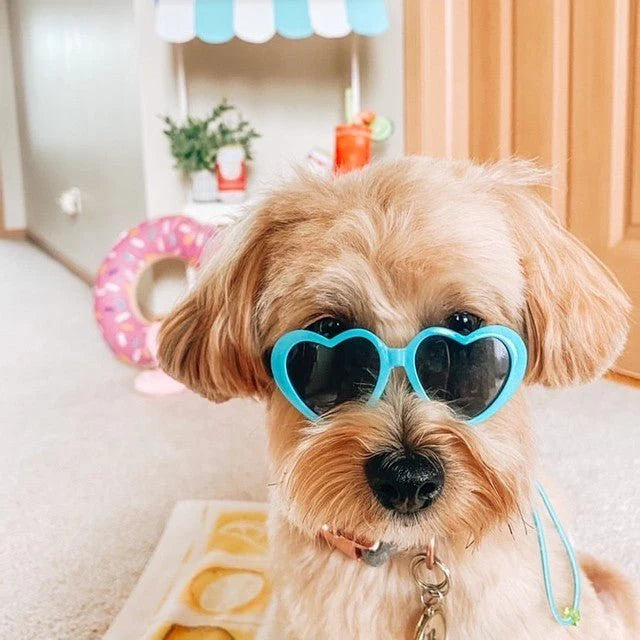 Dog Pet Heart Shaped Sunglasses
