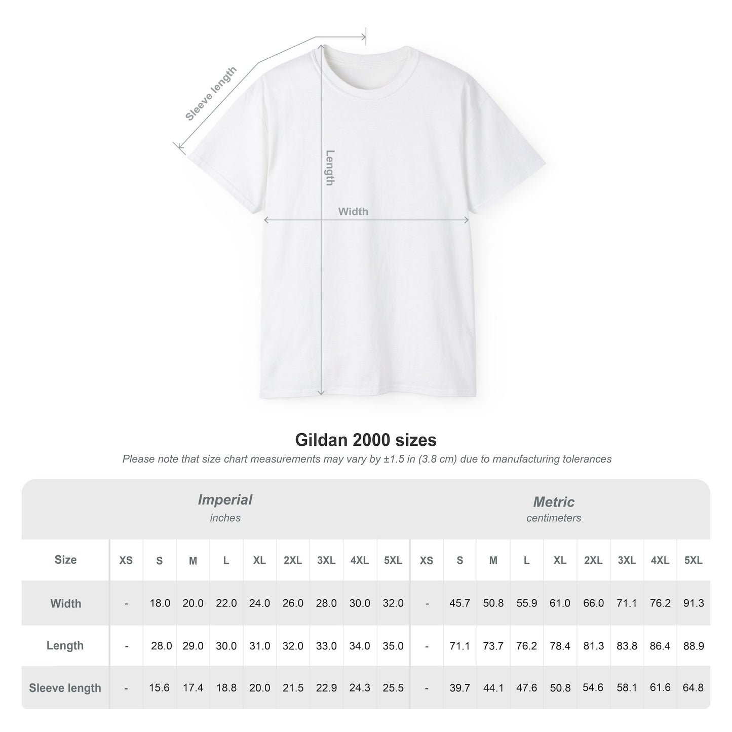 Employee of the Month Tee — Cute Bear Desk Graphic Women T-shirt Office Humor