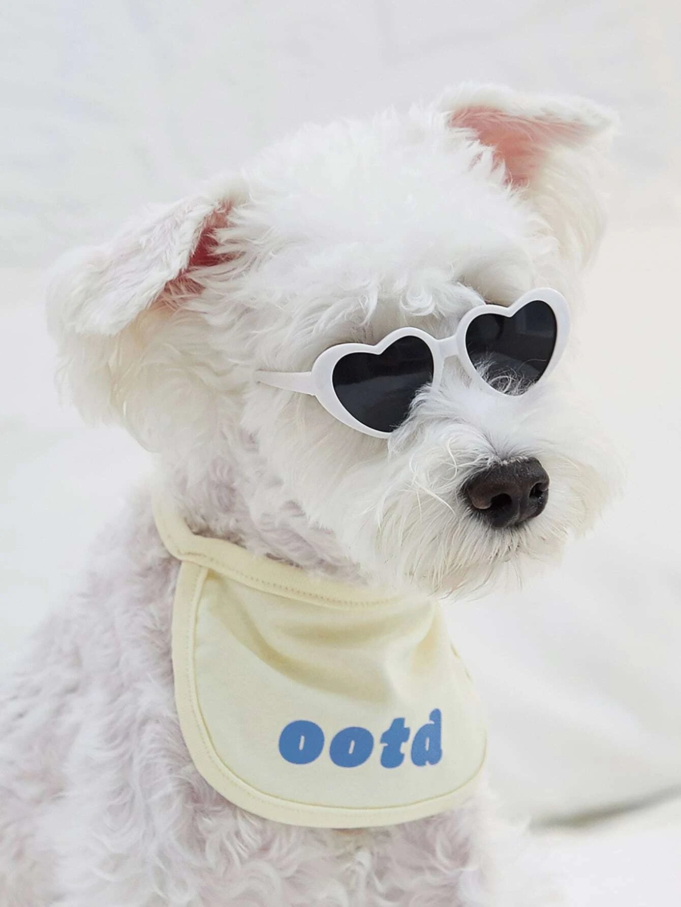 Dog Pet Heart Shaped Sunglasses