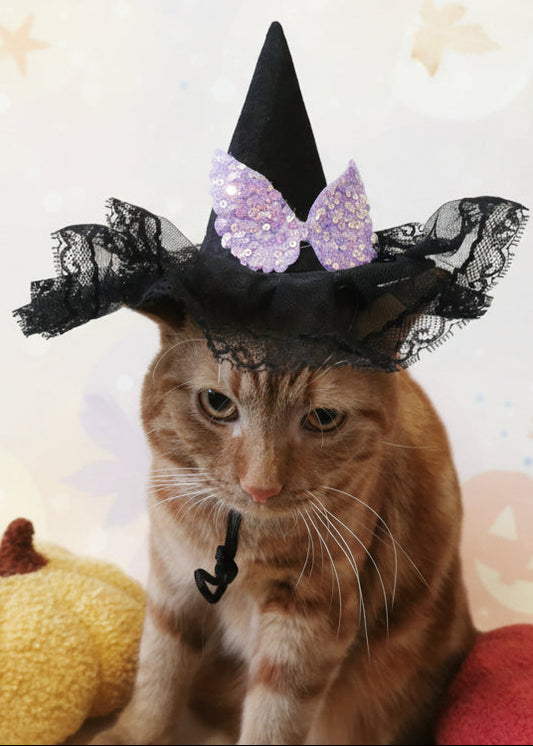 Cat Halloween Witch Adjustable Hat