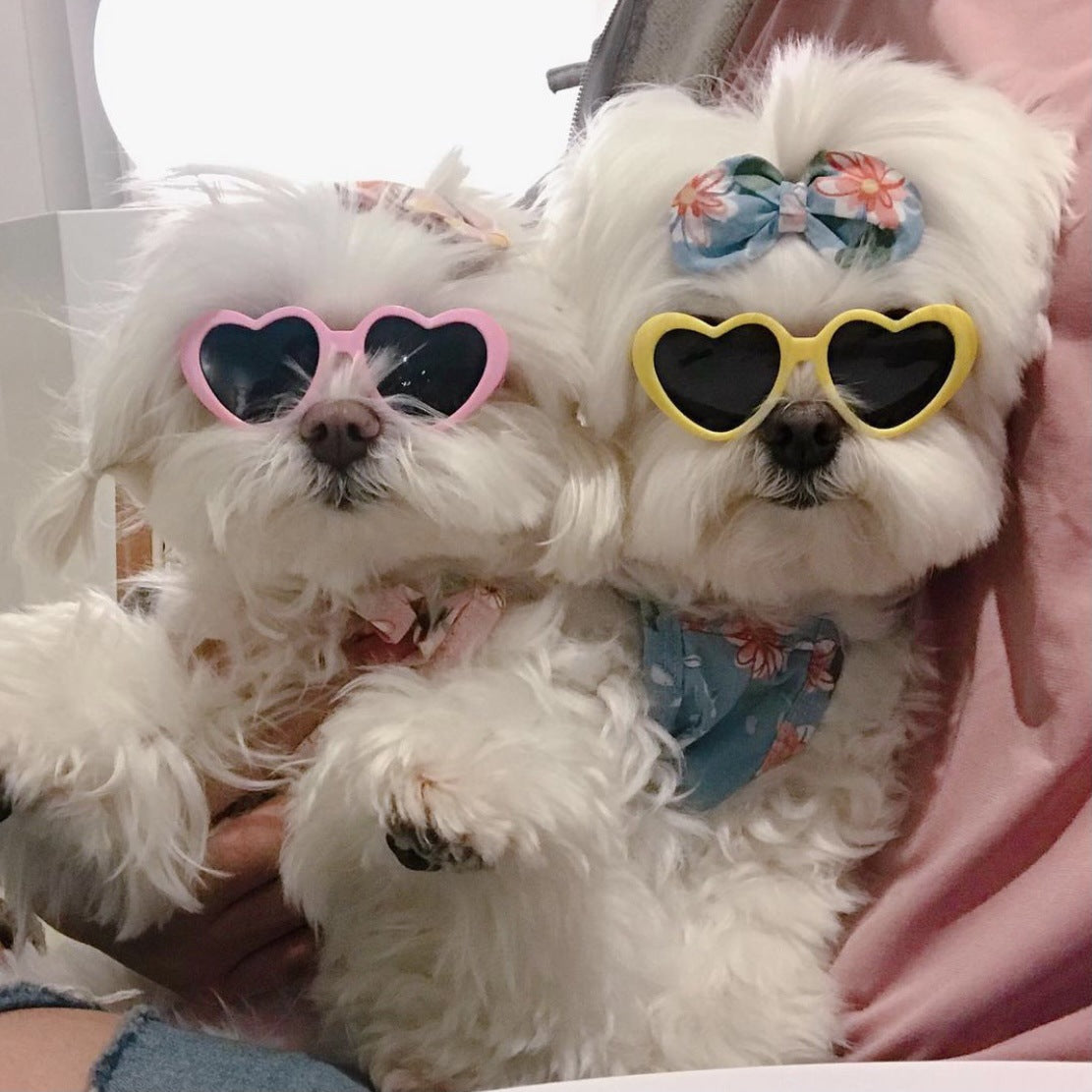Dog Pet Heart Shaped Sunglasses