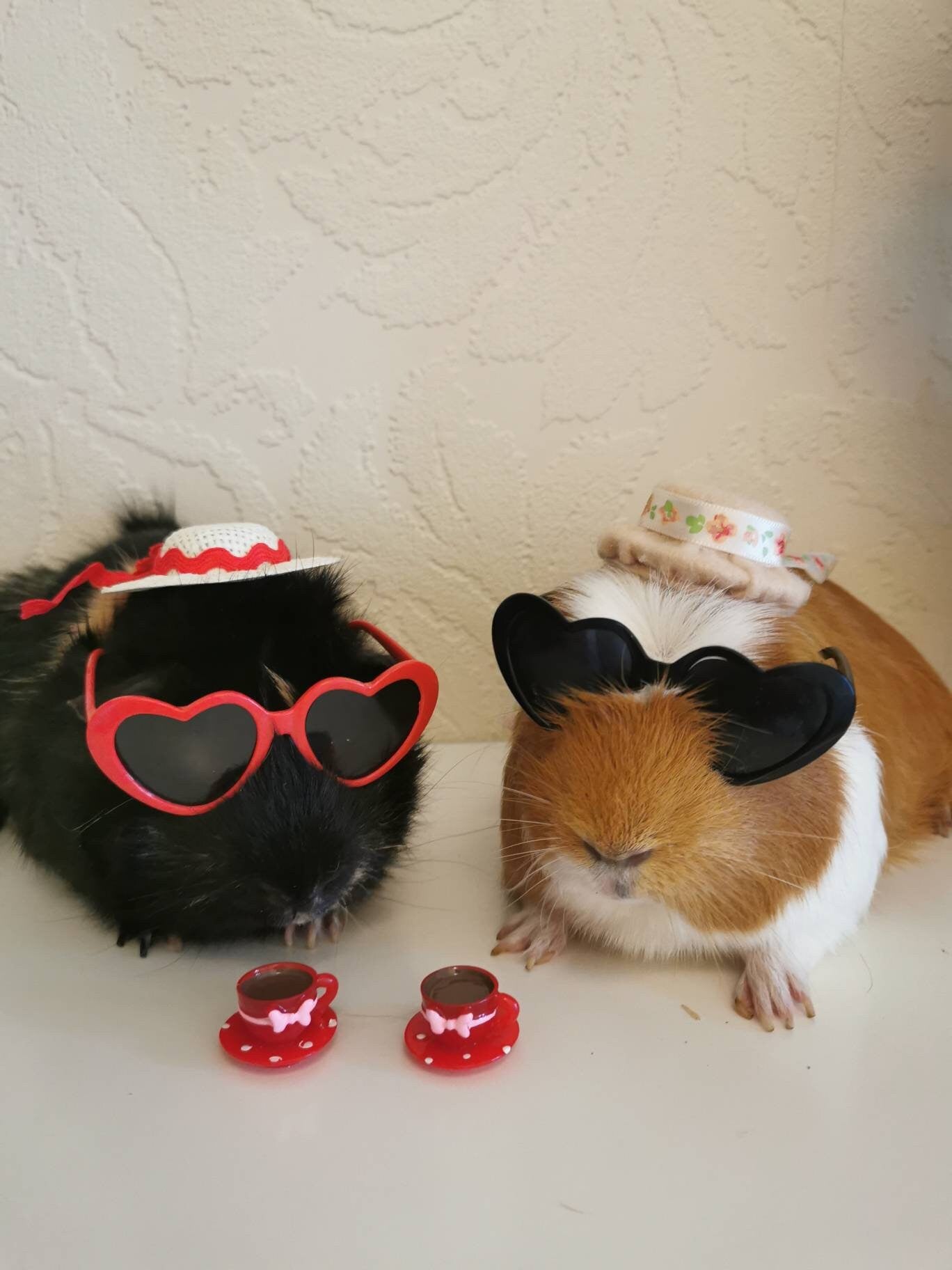 Pet sunglasses Guinea Pig Cat Rabbit Animal Small Dog Heart Glasses Love Red