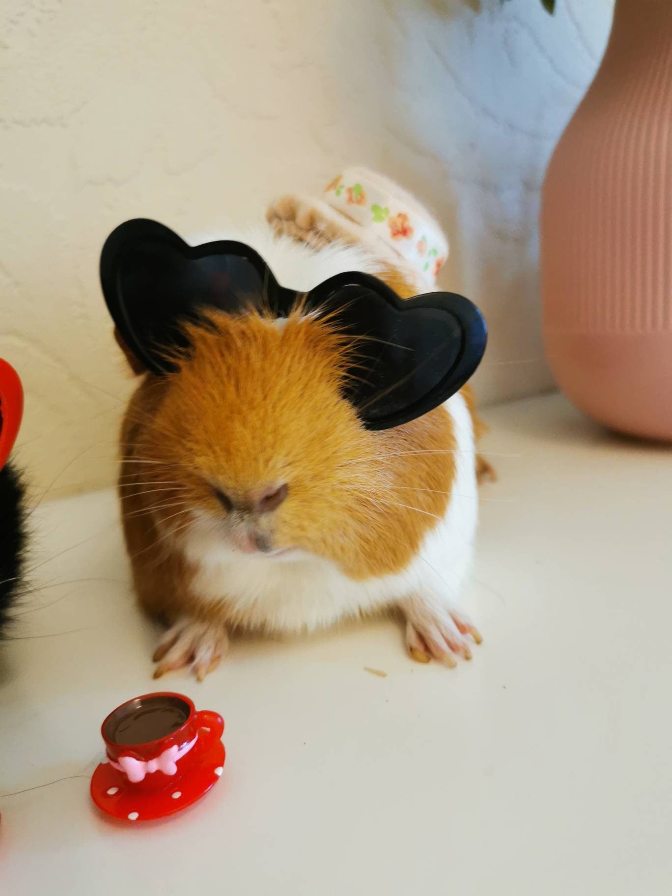 Pet sunglasses Guinea Pig Cat Rabbit Animal Small Dog Heart Glasses Love Red