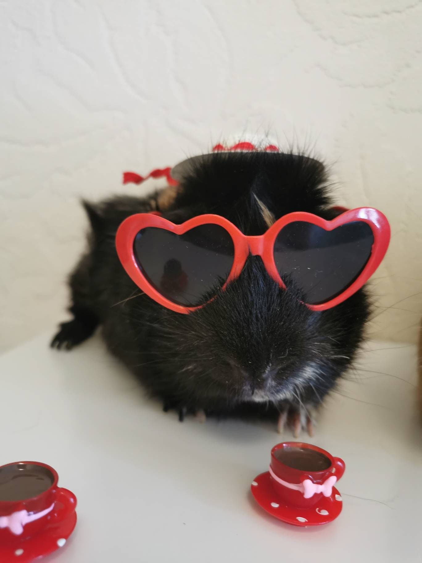 Pet sunglasses Guinea Pig Cat Rabbit Animal Small Dog Heart Glasses Love Red