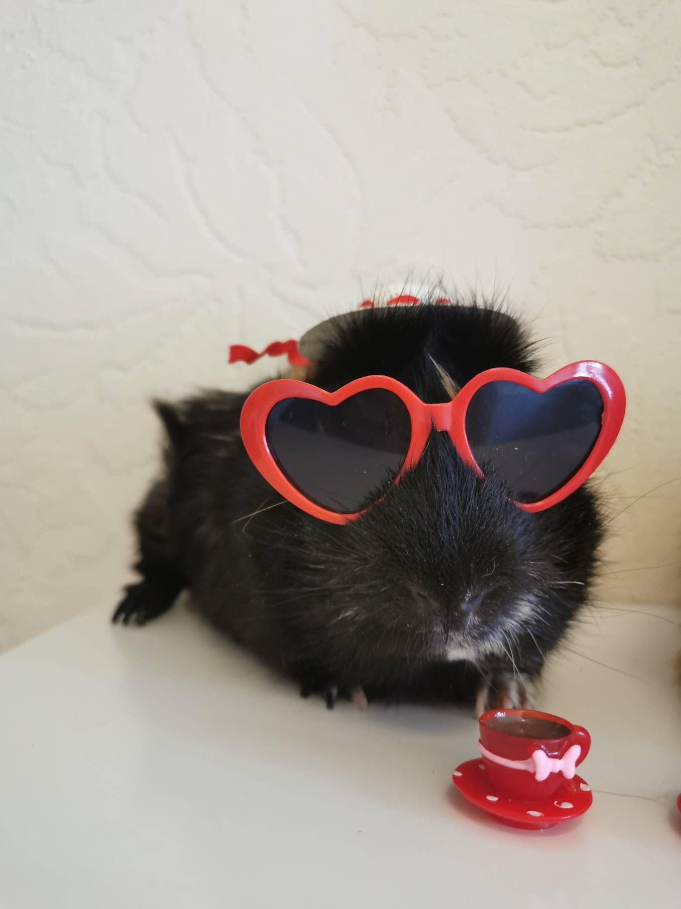 Pet sunglasses Guinea Pig Cat Rabbit Animal Small Dog Heart Glasses Love Red