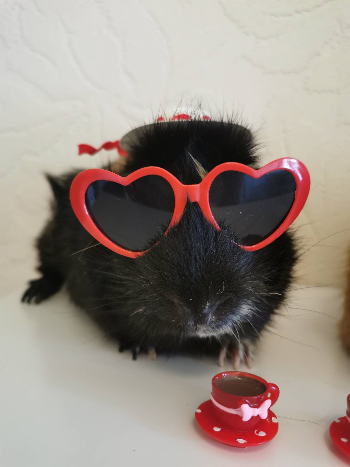 Pet sunglasses Guinea Pig Cat Rabbit Animal Small Dog Heart Glasses Love Red