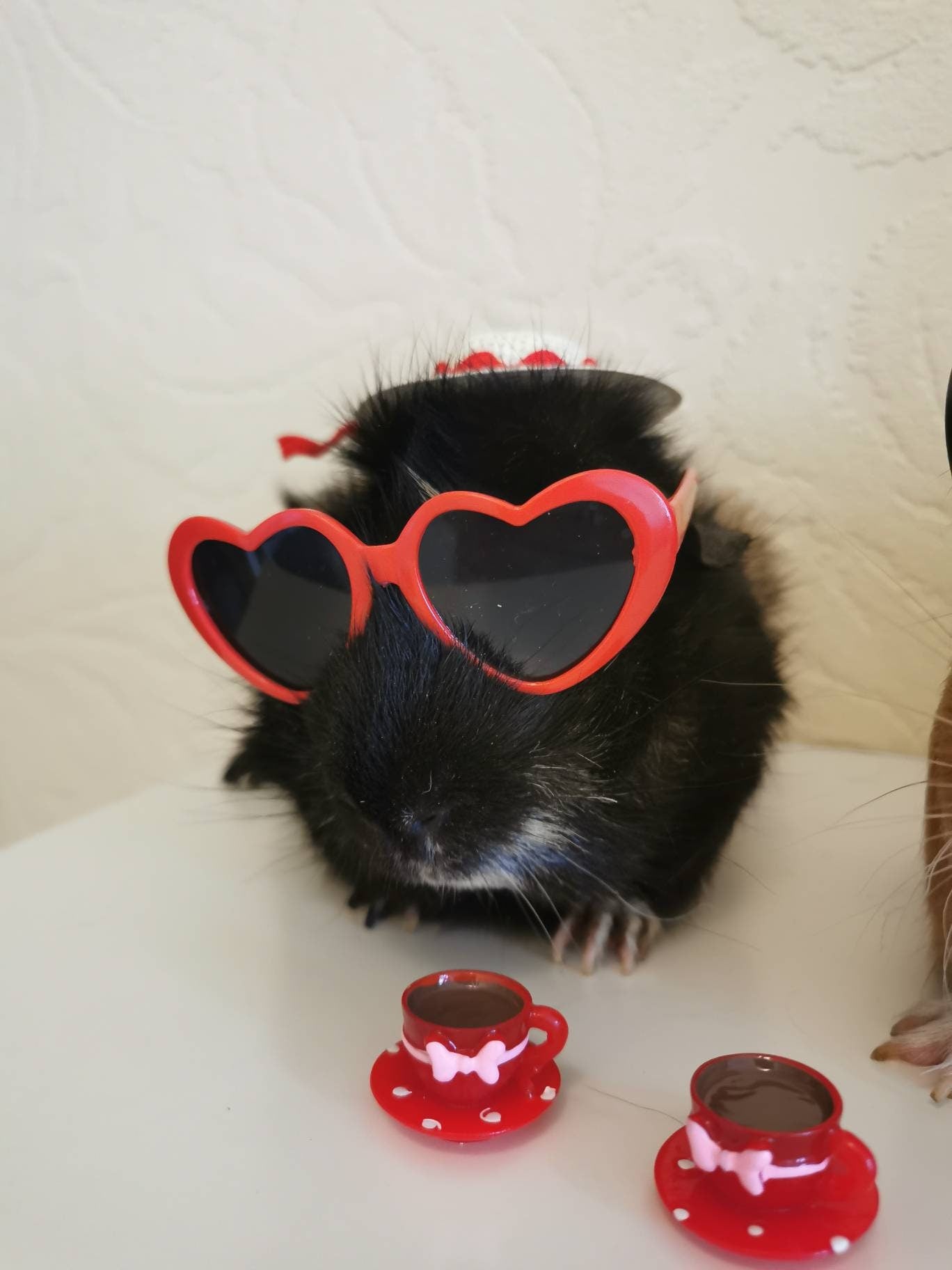 Pet sunglasses Guinea Pig Cat Rabbit Animal Small Dog Heart Glasses Love Red
