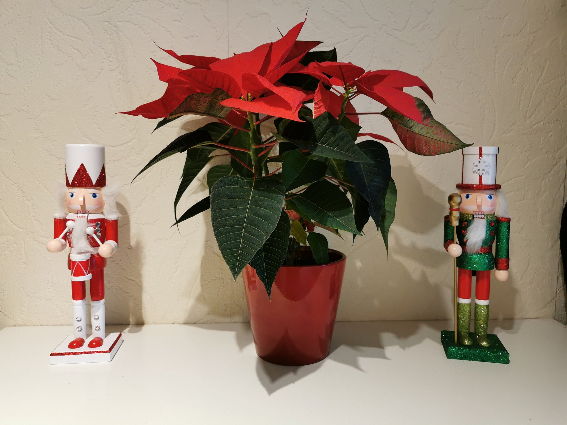 Quality Traditional Wooden Soldier Nutcracker Christmas Home Decoration - Gift Ornament 28 cm Red Green Active