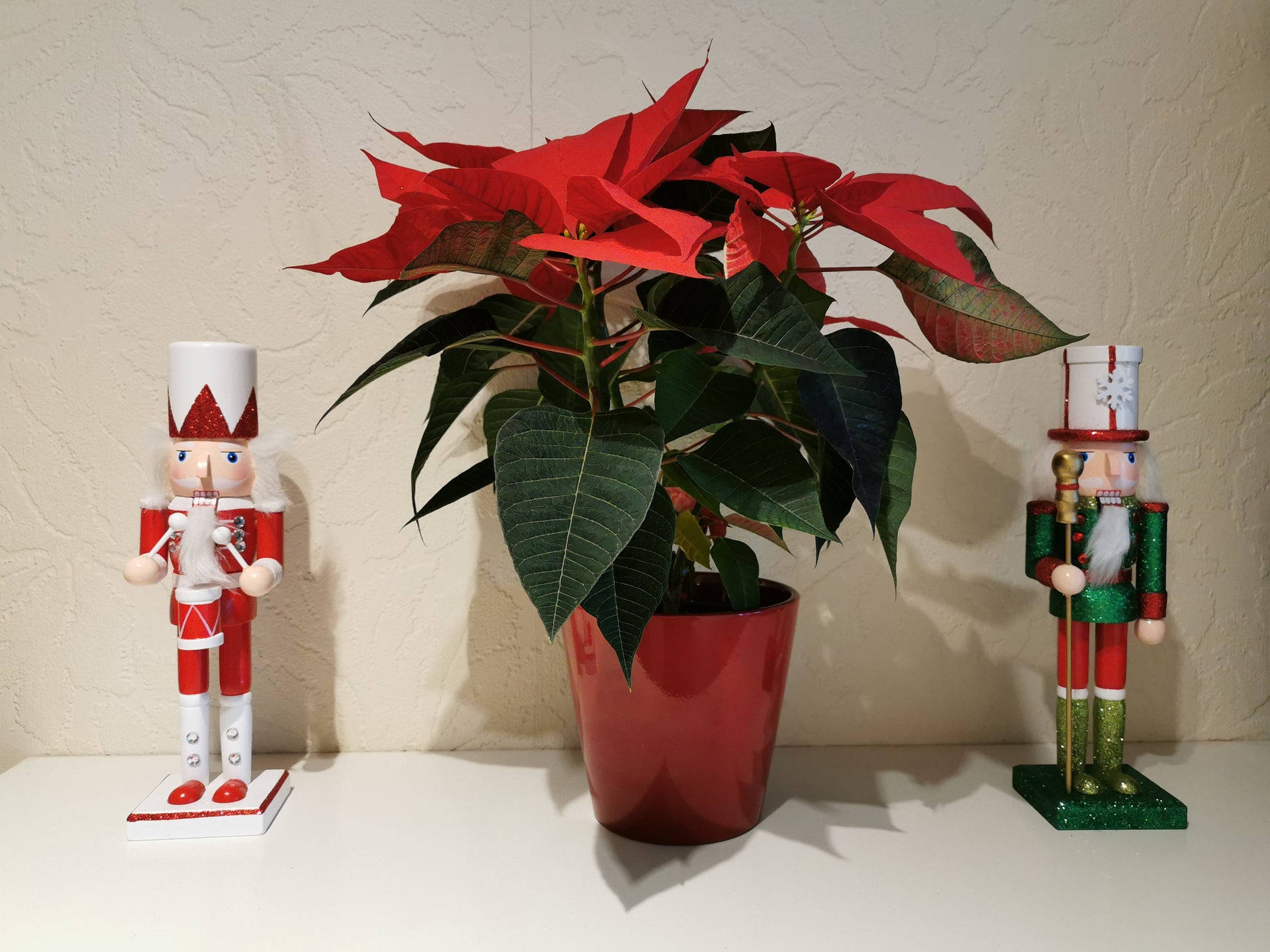 Quality Traditional Wooden Soldier Nutcracker Christmas Home Decoration - Gift Ornament 28 cm Red Green Active